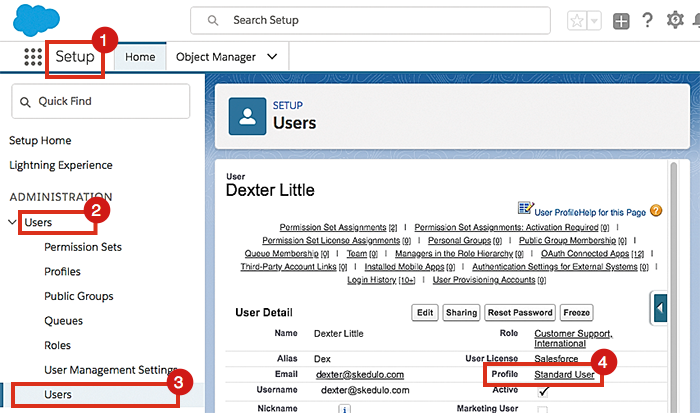 A user&rsquo;s profile in Salesforce.